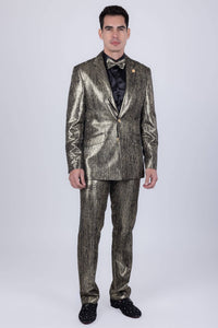 Men's Shiny Jacket